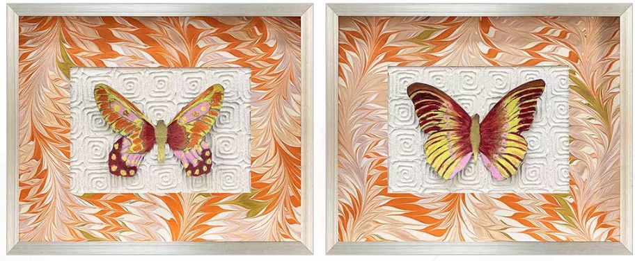 Flight Patterns II S/2