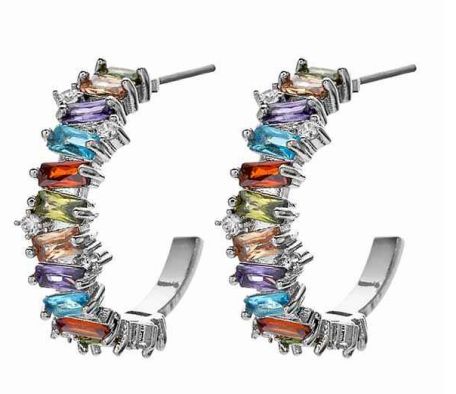 Silver with Multi Color Earring