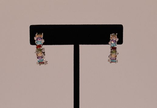 Silver with Multi Color Earring