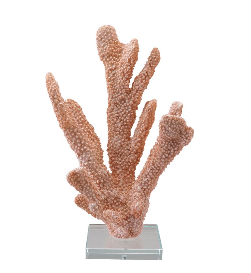 Coral Coral Decor with Glass Base