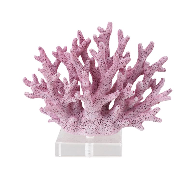Plum Coral Decor with Acrylic Base