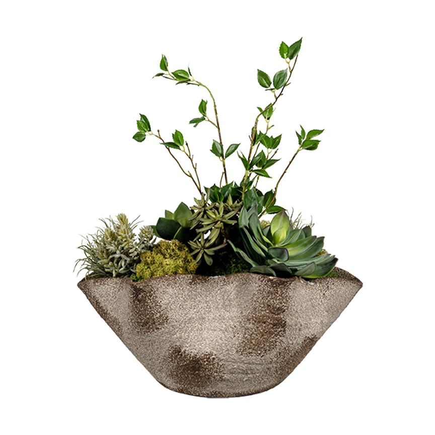 Assorted Succulents and Cherry
