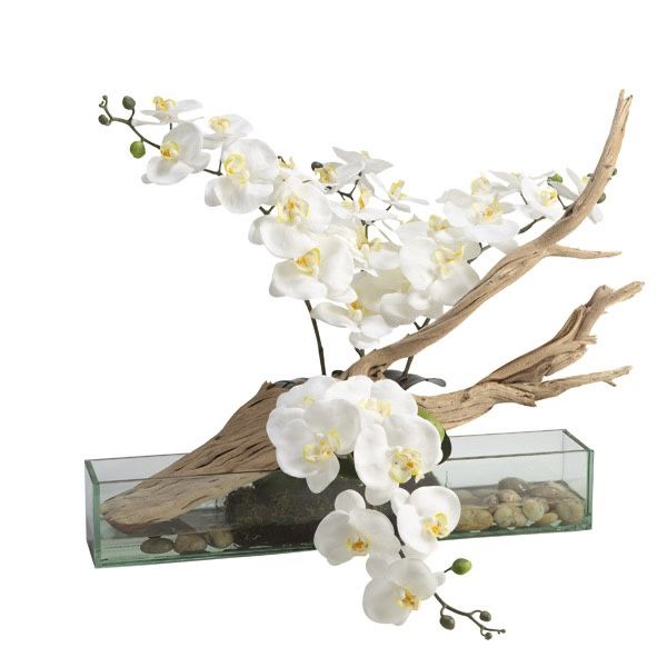 White Orchids W/Driftwood