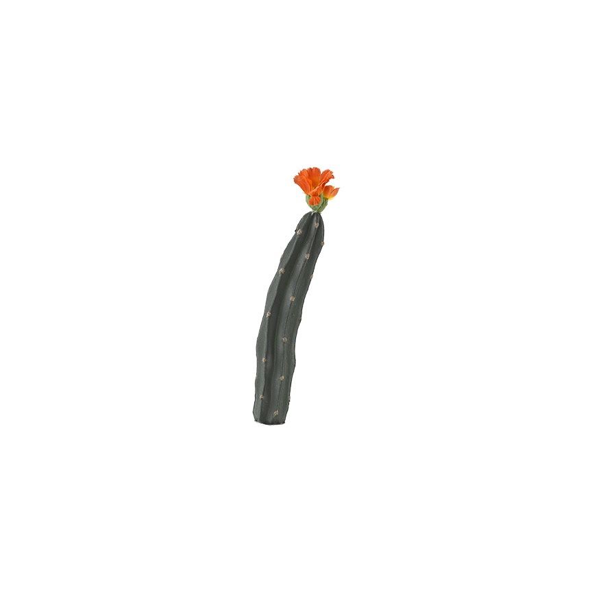 Mini Cactus W/Orange Flower