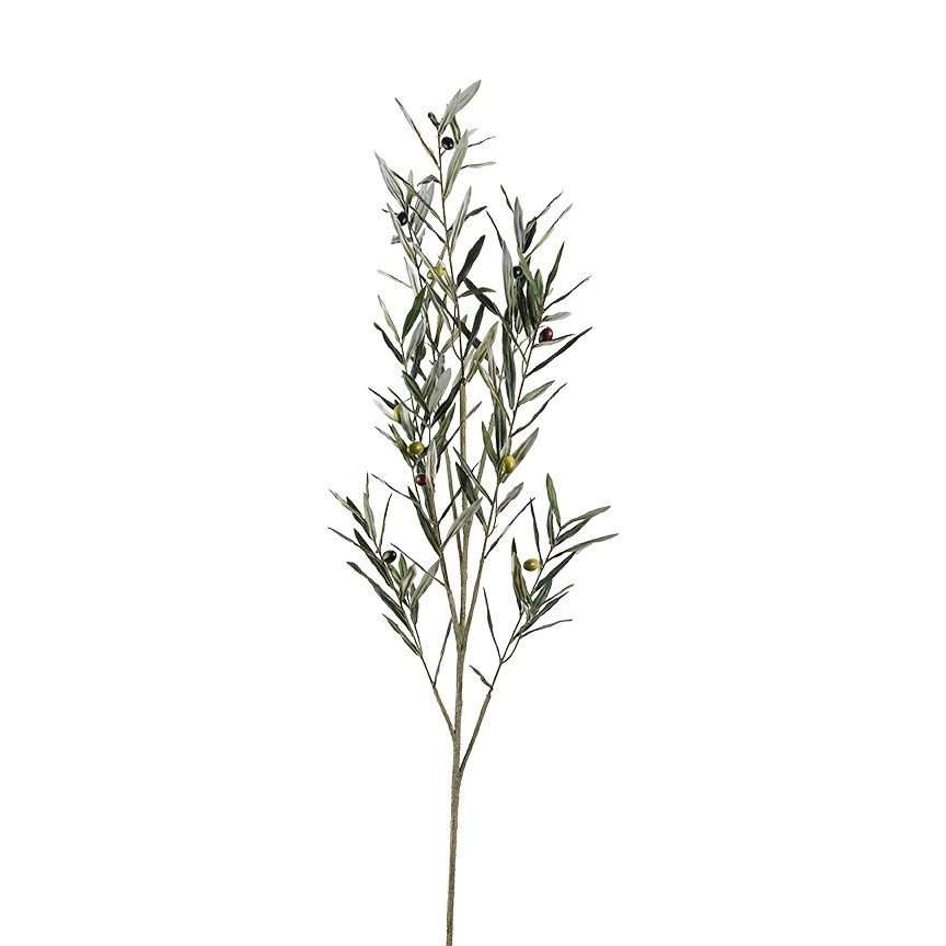 59" Olive Spray