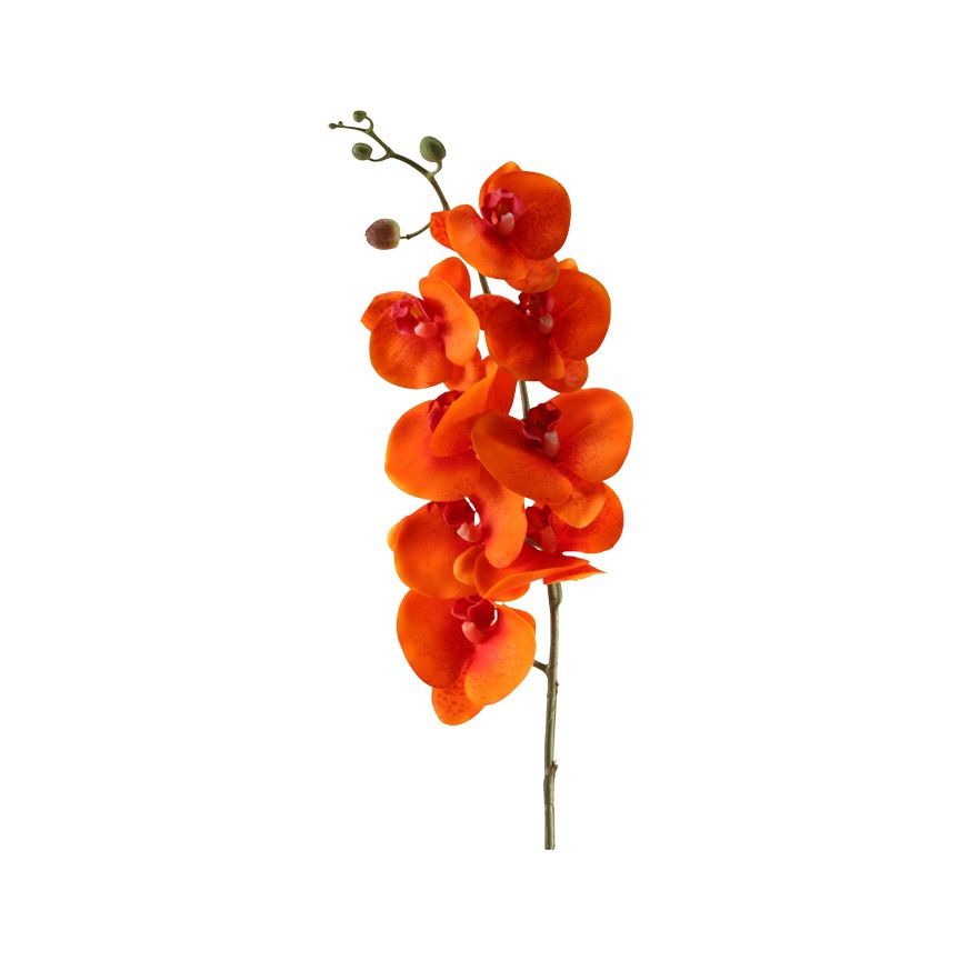 37.5" Orange Phial Orchid Stem