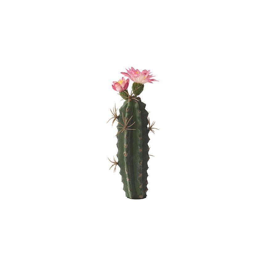 9.5" Finger Cactus Pink Bloom
