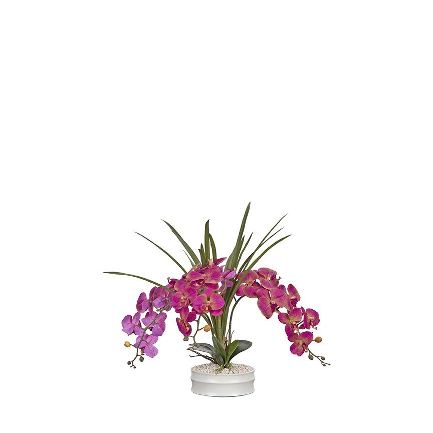 Lavender Phael Orchids In Matte White Bowl