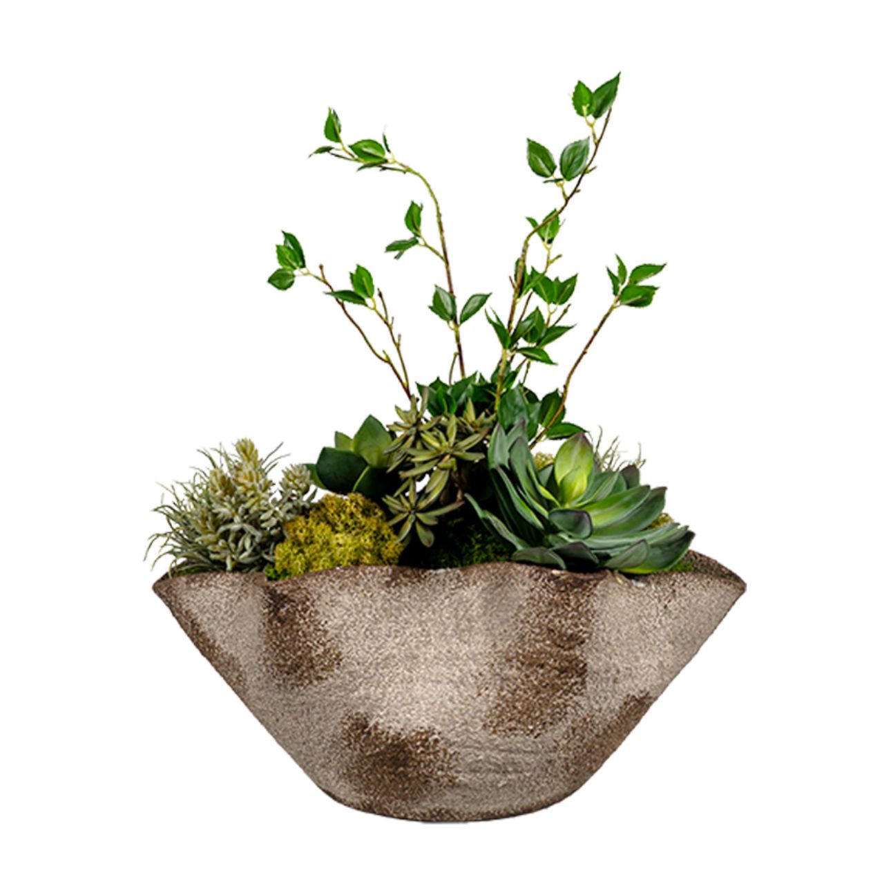 Cherry Leaves & Succulents in Bowl Cherry Leaves & Succulents in Bowl
