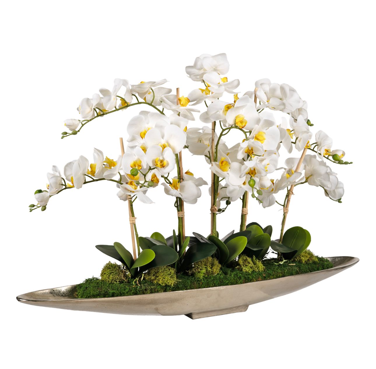 White Phal Orchids in Silver Boat