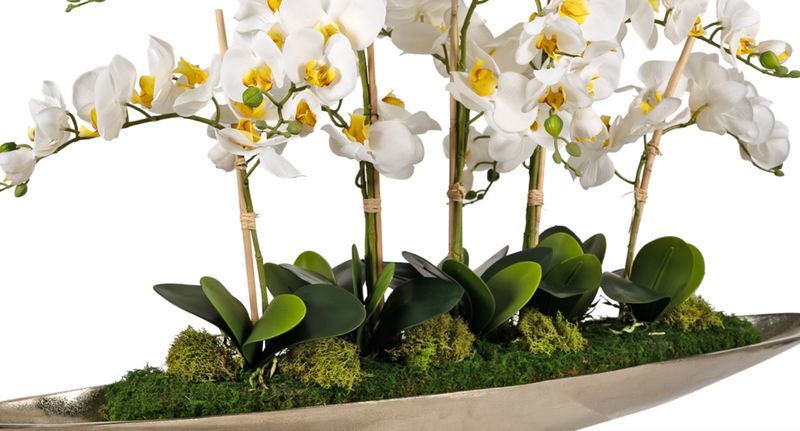 White Phal Orchids in Silver Boat