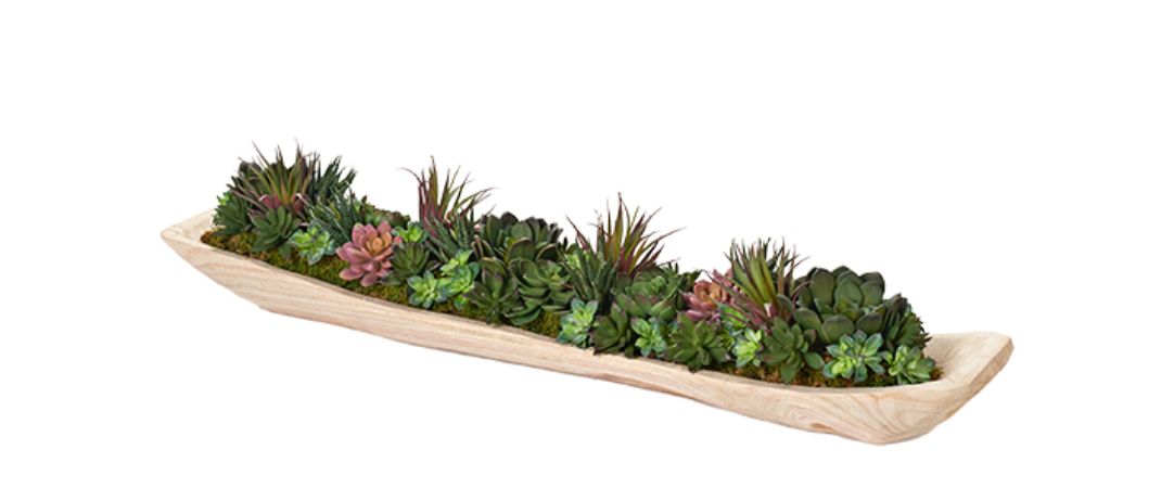 Assorted Mini Succulents in Fortune Wood Tray