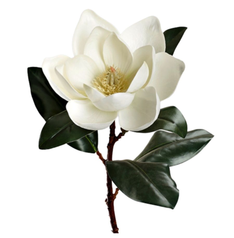 White Magnolia Stem 27"