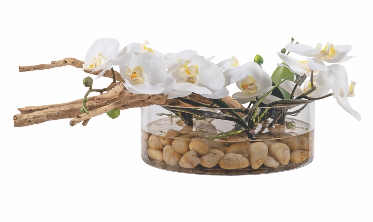 White Phal Orchids & Ghostwood in Vase White Phal Orchids & Ghostwood in Vase