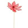 21" Pink Poinsettia Stem