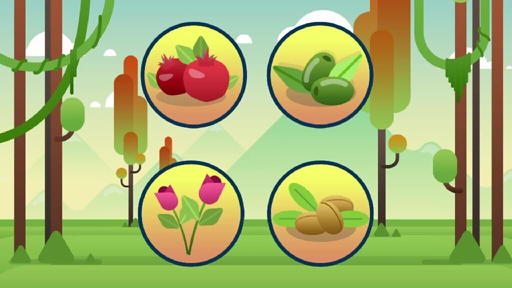a motion video shows pomegranate, olive, and bee honey