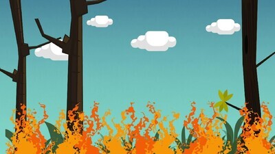 a motion video about environmental desertification and its damages