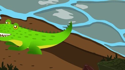 a motion video for the crocodile out from the river