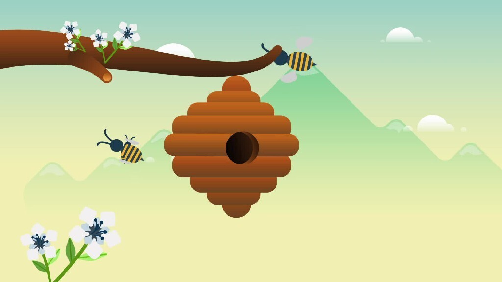 a honey bee&#39;s nest