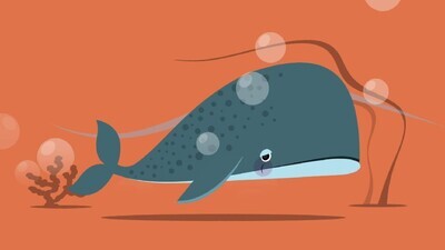 a motion video about organisms dolphins - frog