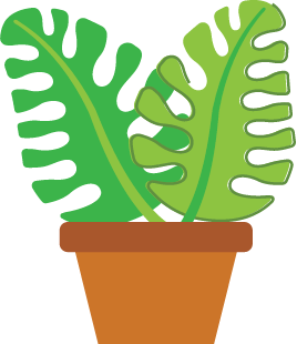 Monster plant
