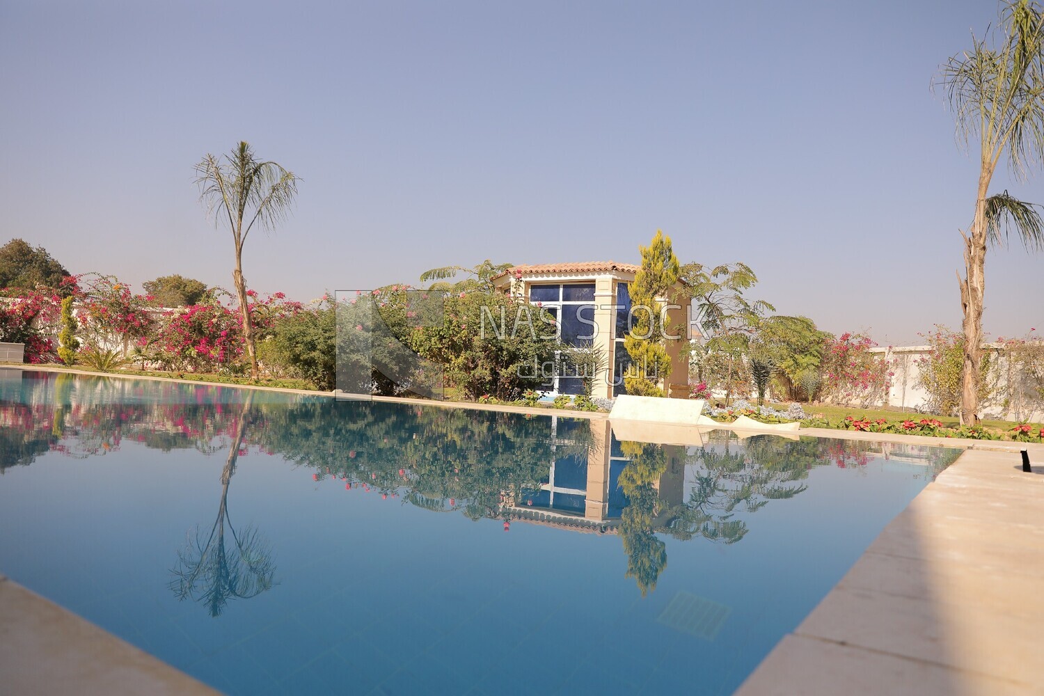 a view of the house with a swimming pool and garden