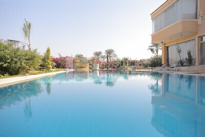 House with a swimming pool and garden