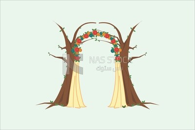 Photography Decorations