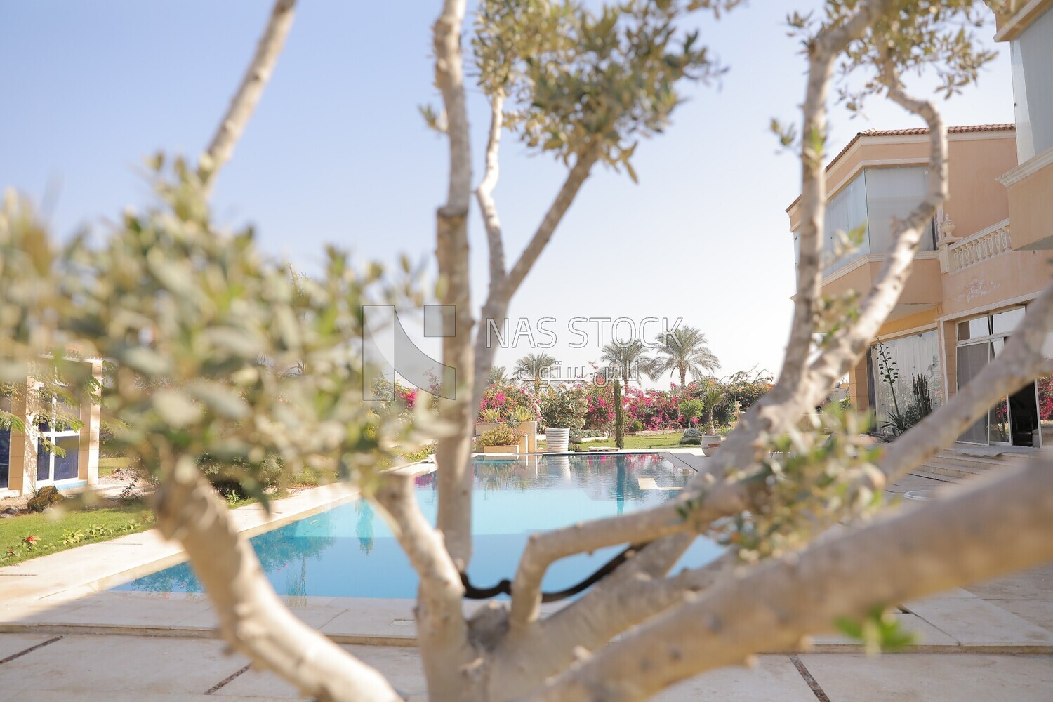 a view of the house with a swimming pool and garden