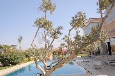 House with a swimming pool and garden