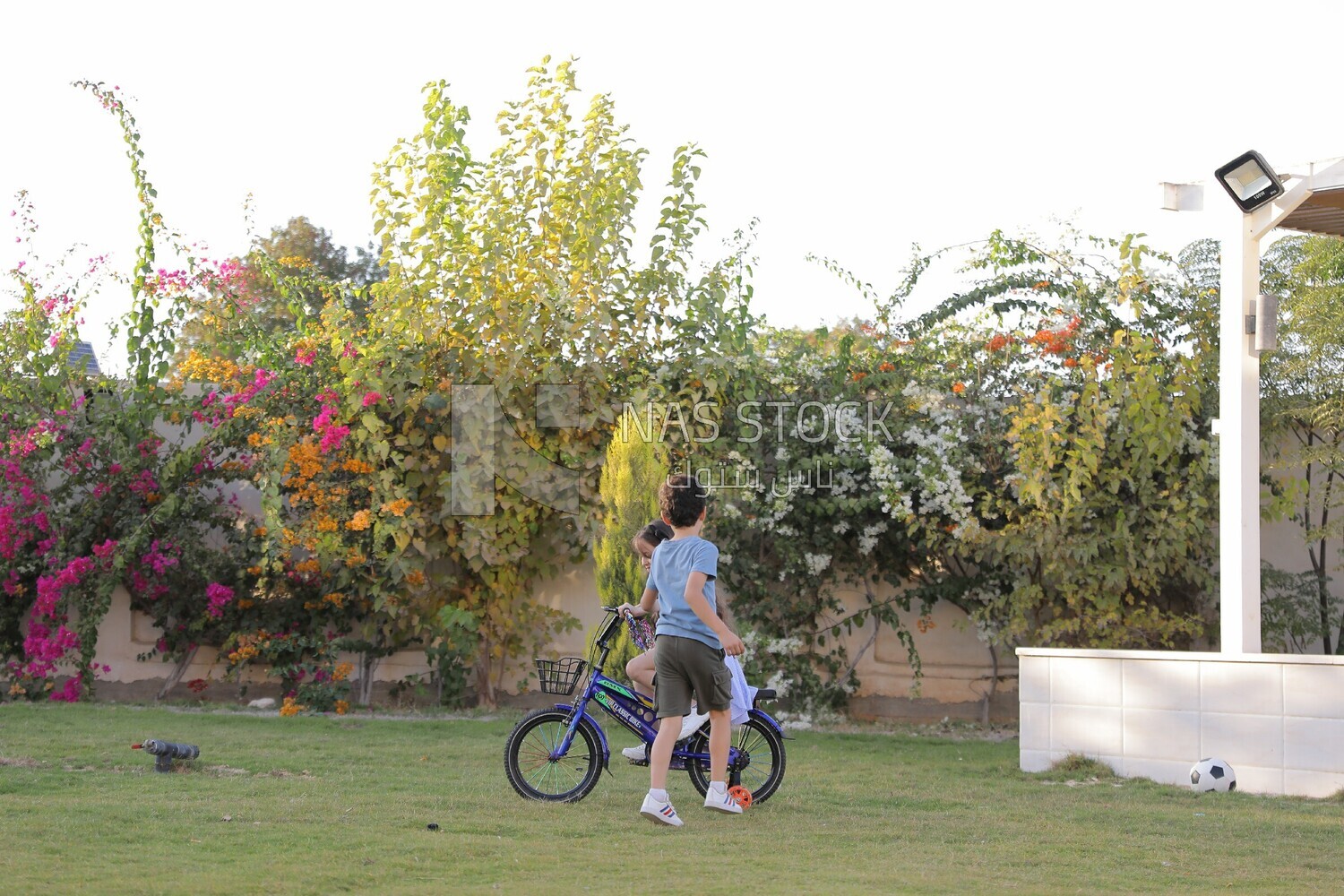 a girl riding a bike and her brother running with her in the garden