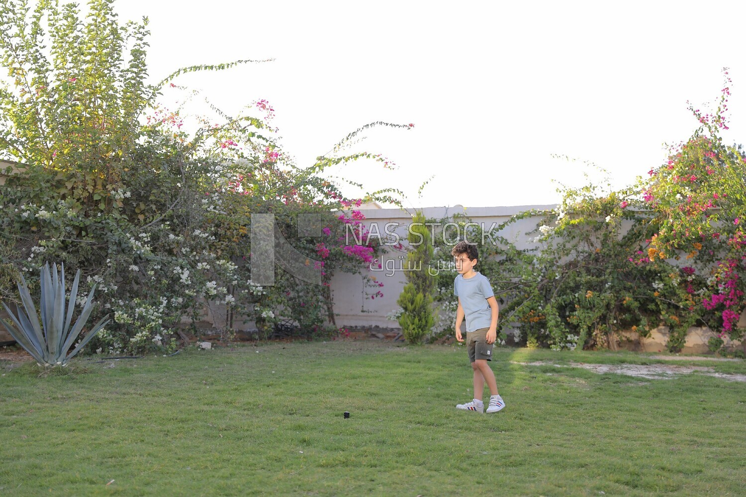 a boy playing in the garden