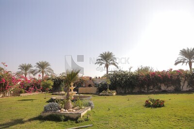 حديقة 
