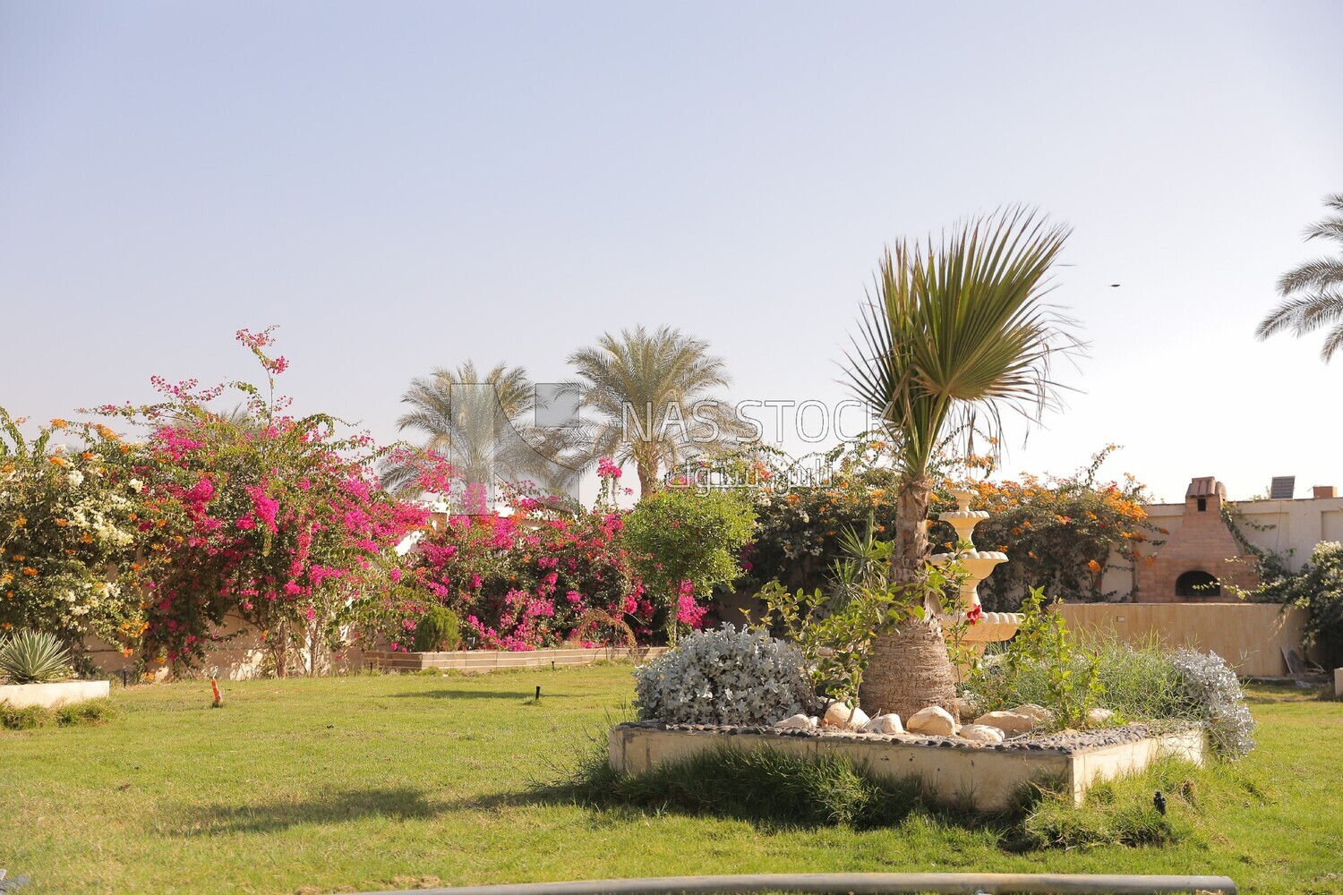 حديقة 