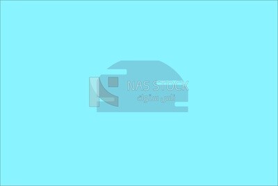 White background