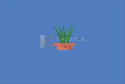 Green aloe vera plant