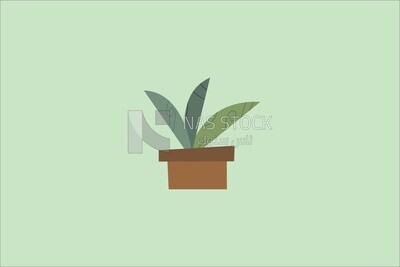 نبات الصبار الأخضر مع الأوراق في وعاء بني