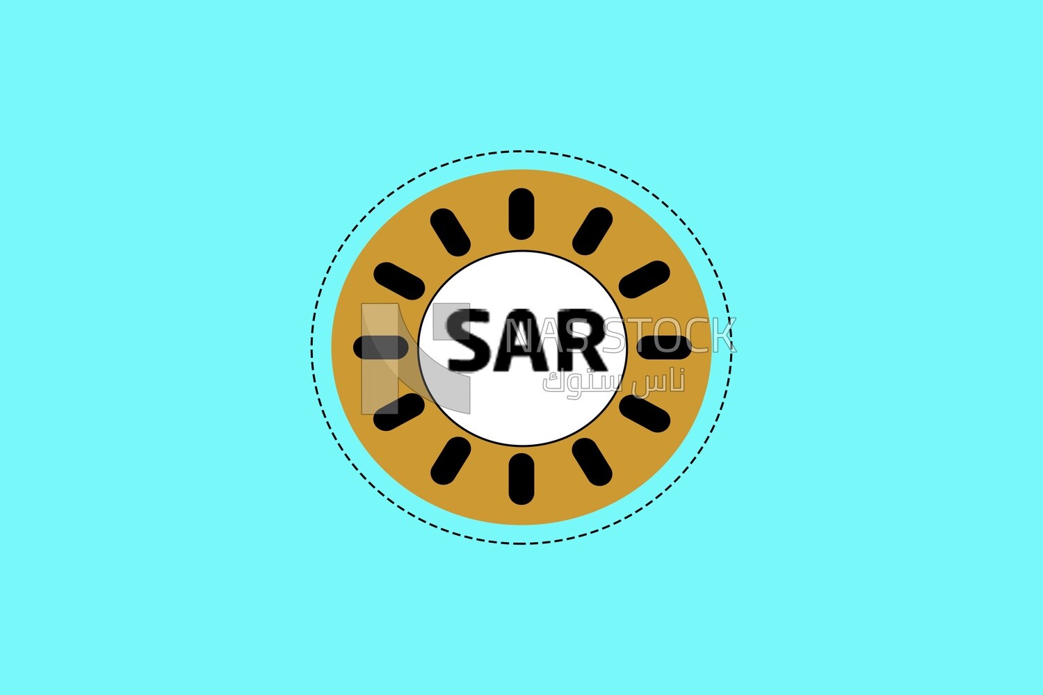 SAR coin