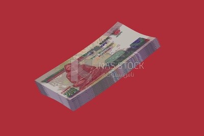 A group of Egyptian money