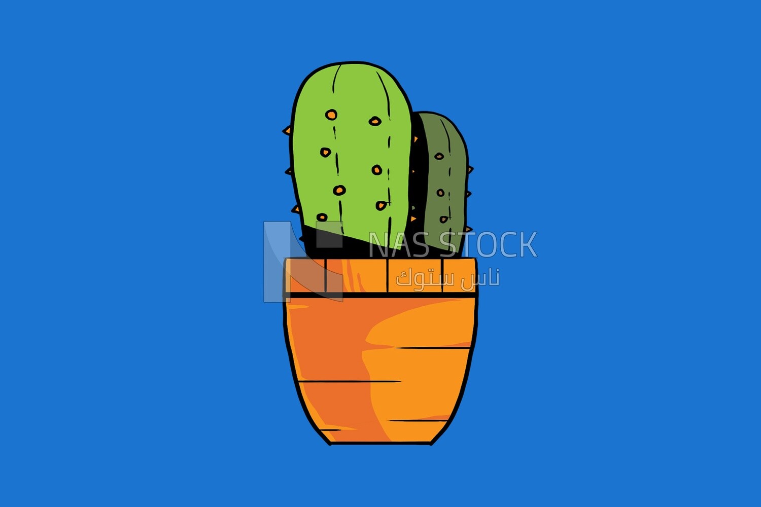 Cactuses