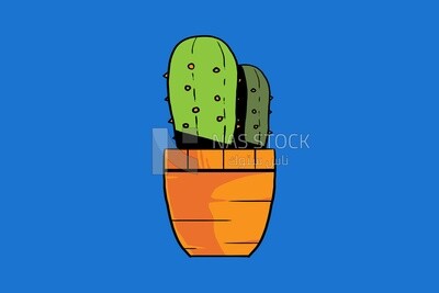 Cactuses
