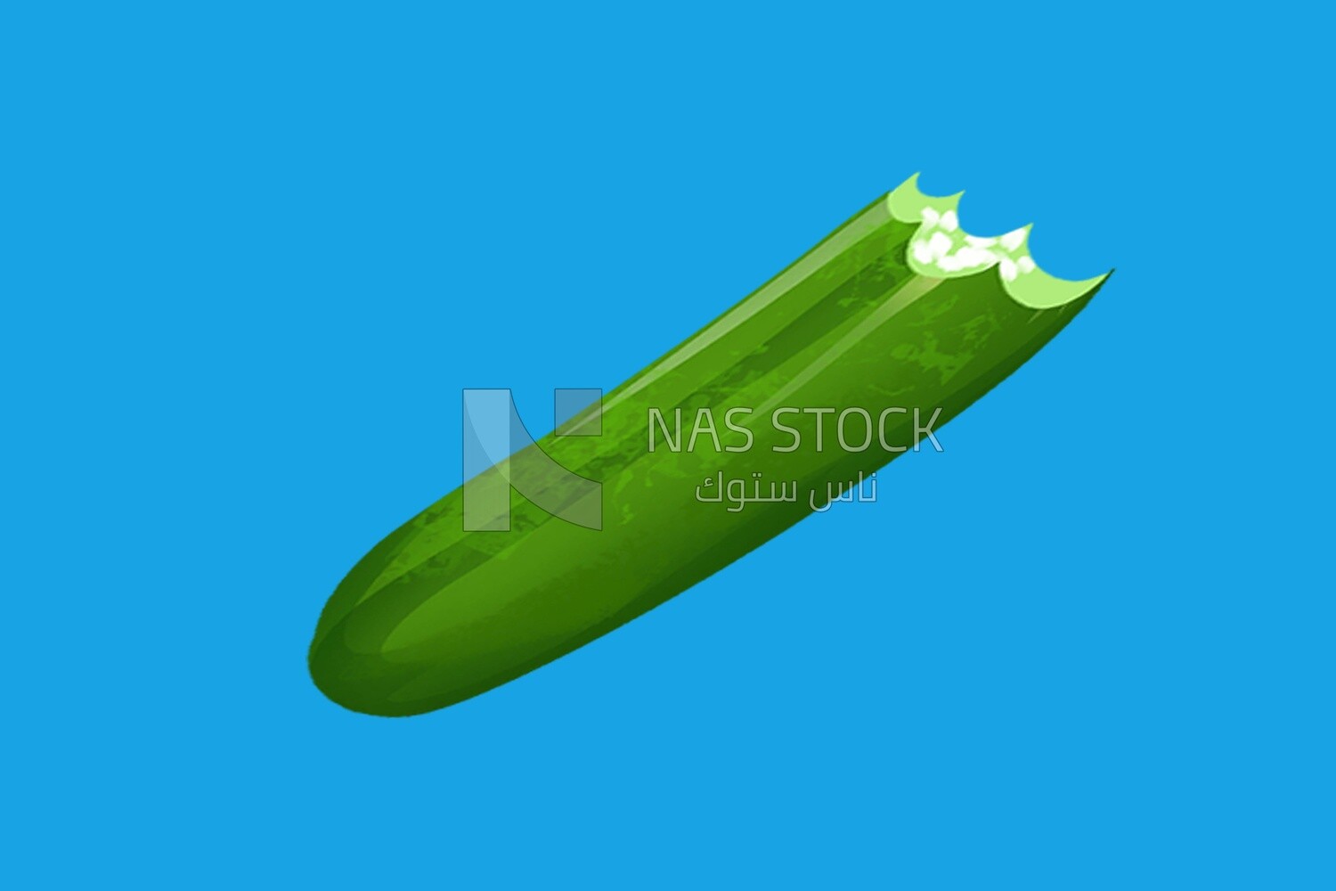 Cucumber
