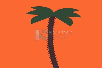Palm tree