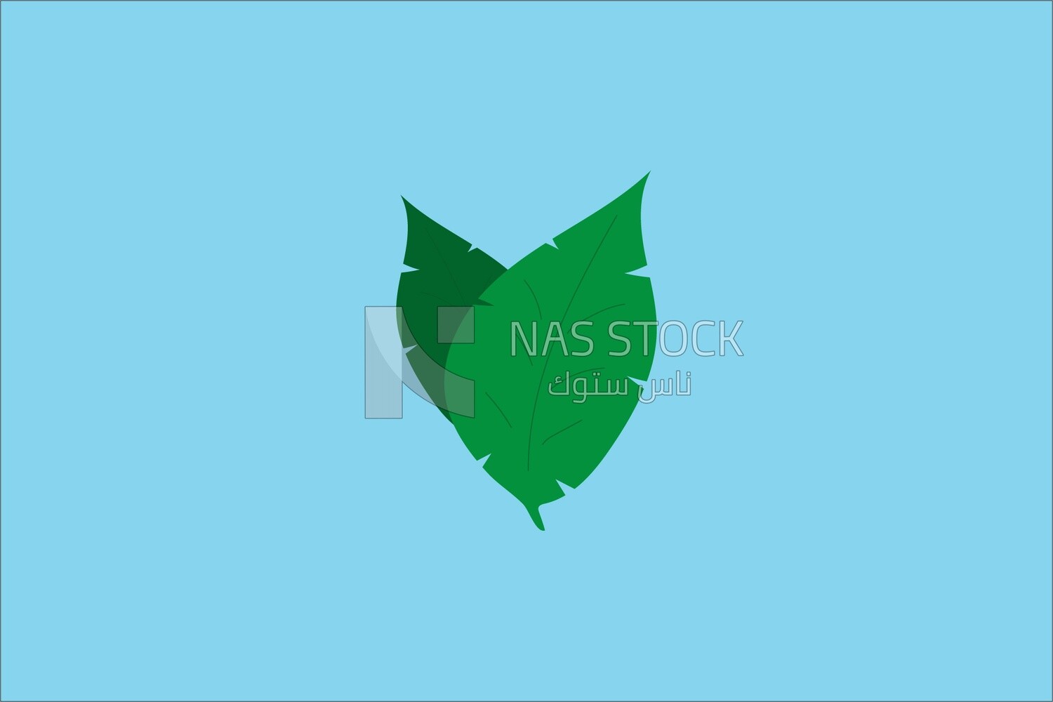 Tree leaves