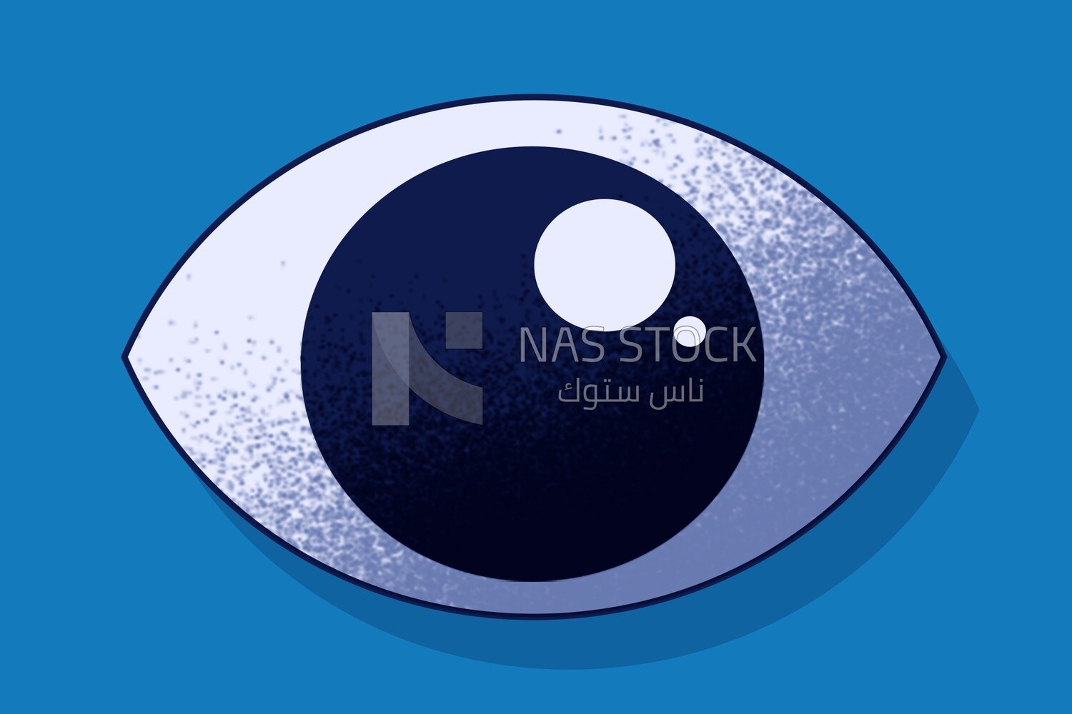 Eye
