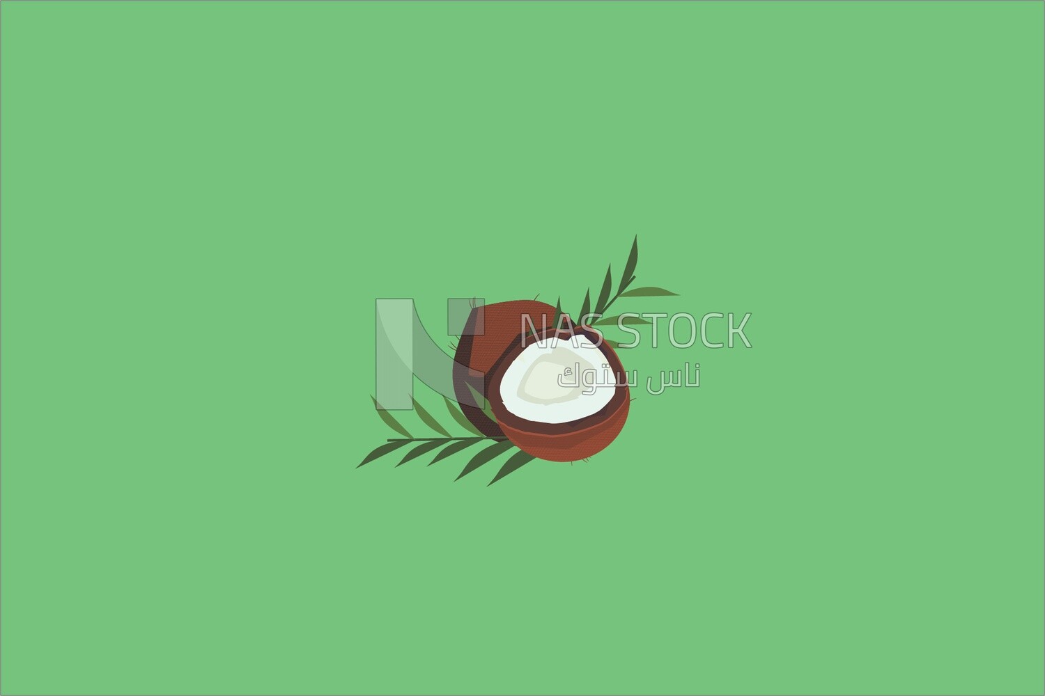 Coconut