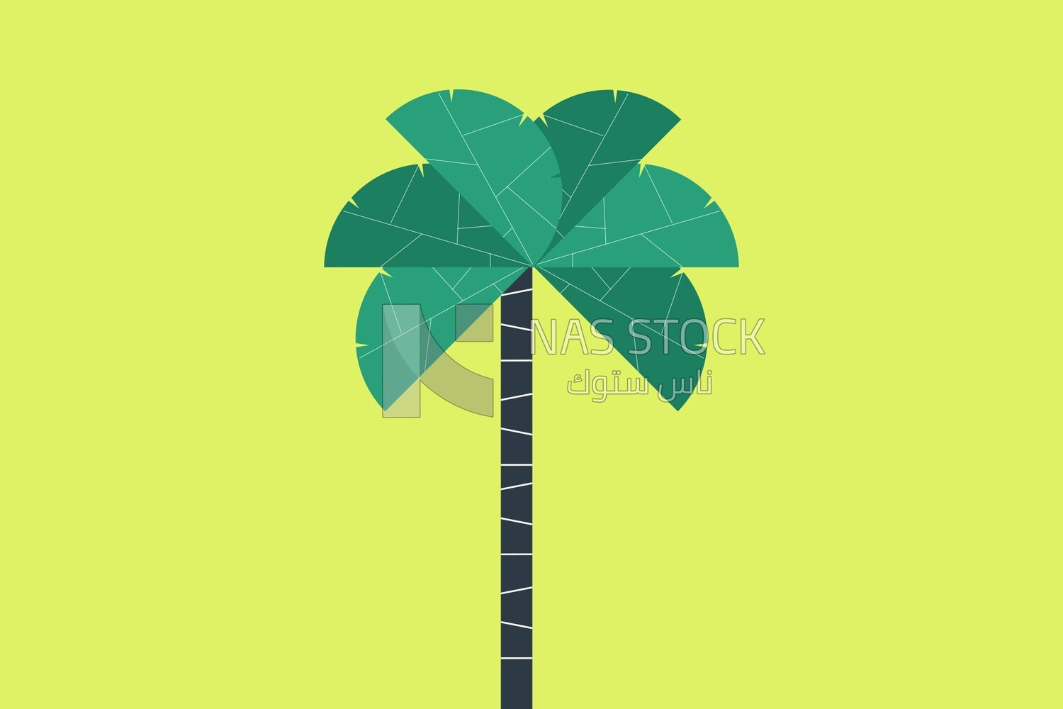 Palm tree