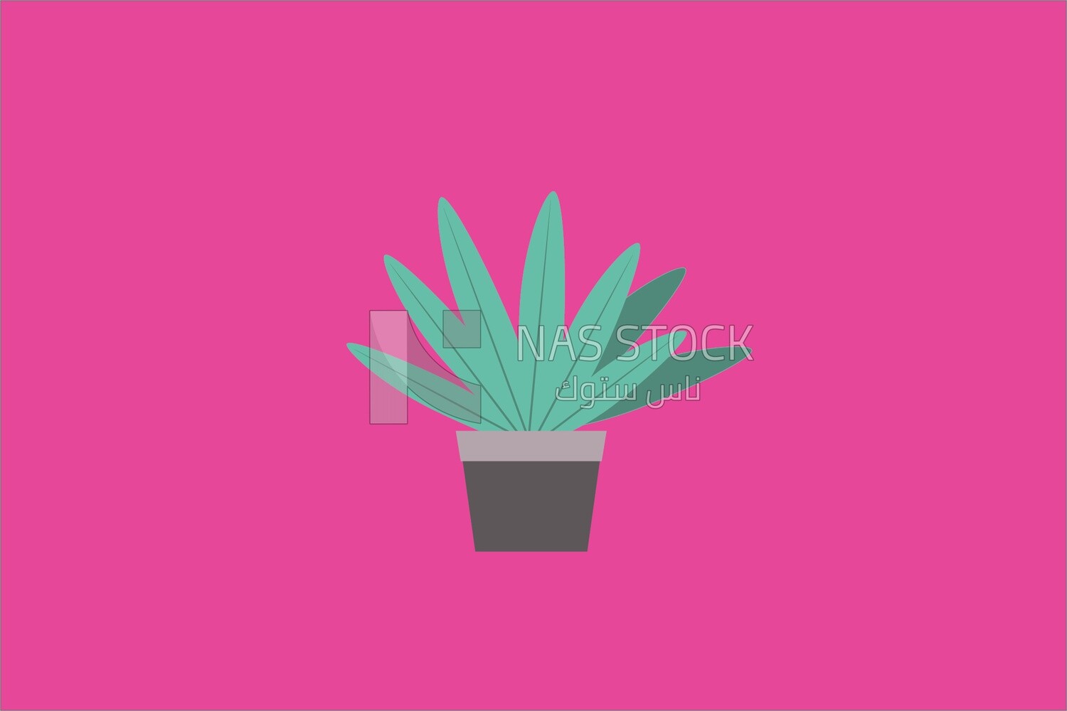 Green aloe vera plant