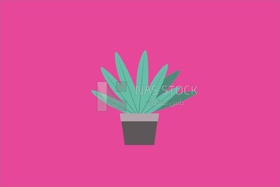 Green aloe vera plant