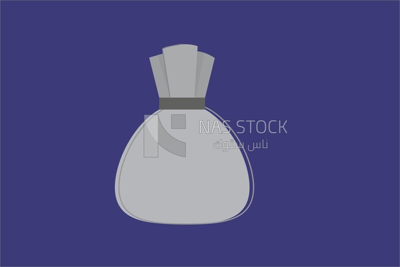 Money bag